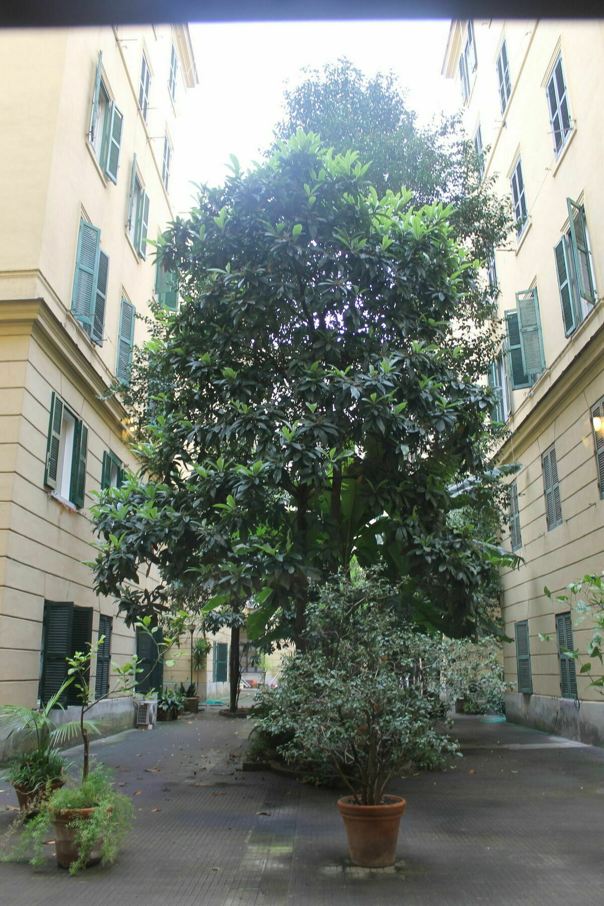 Rovati Guesthouse Roma Exterior foto